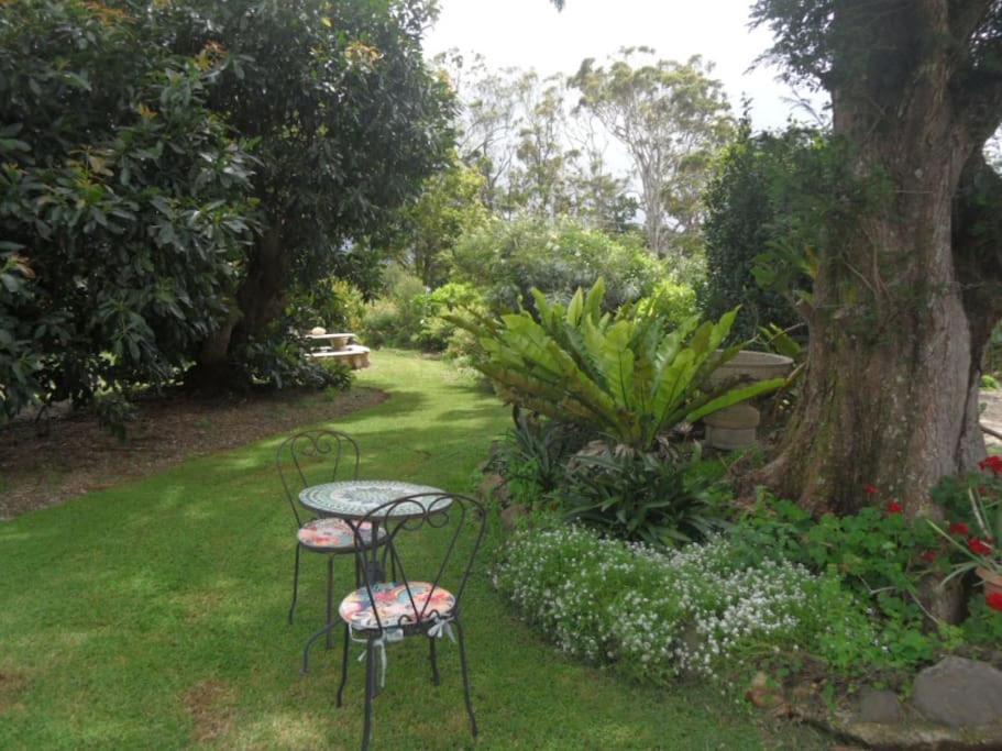 Moonya Avocado Farm Cottage - With Early Check-In Mount Tamborine Εξωτερικό φωτογραφία