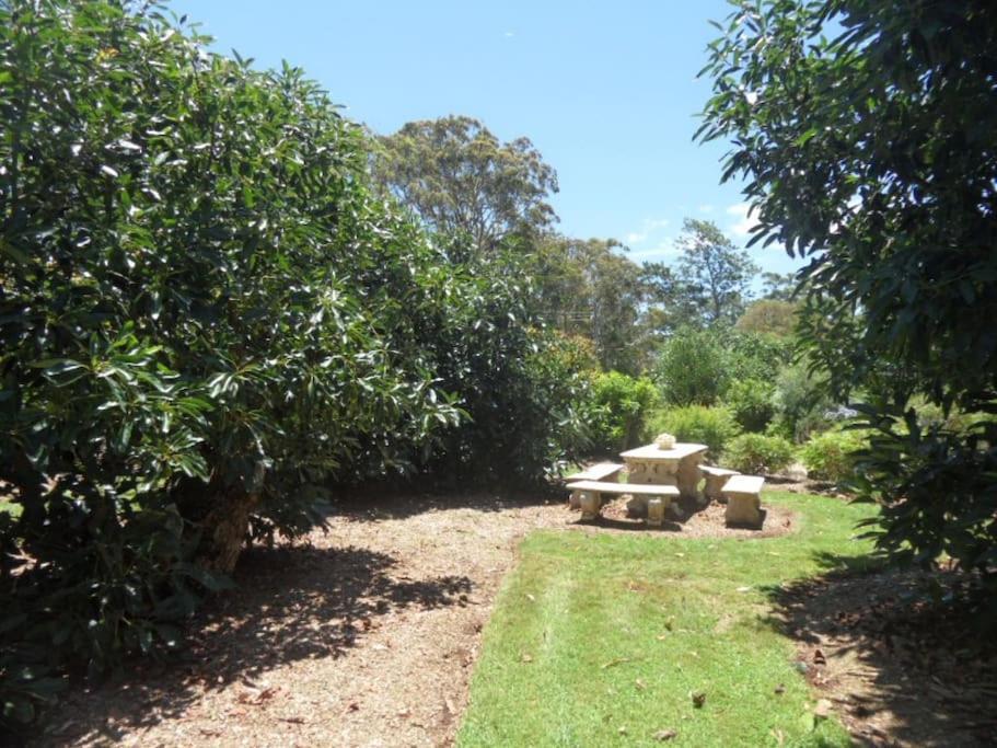 Moonya Avocado Farm Cottage - With Early Check-In Mount Tamborine Εξωτερικό φωτογραφία